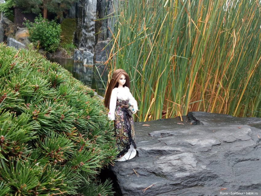 Травница — Куклы и тела Obitsu (Обитсу): 1/6 (фото 6)