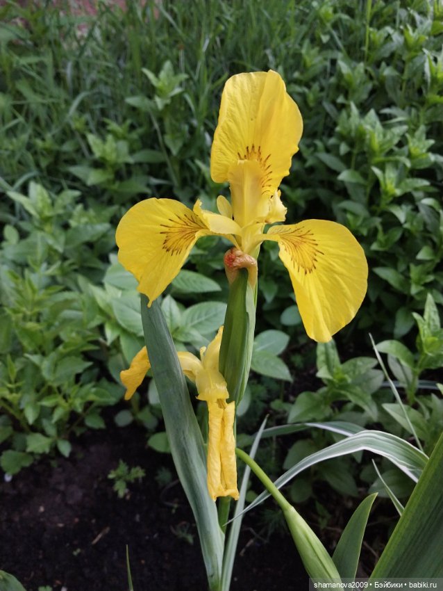 Краски лета — Туризм и путешествия: фотоотчеты из поездок