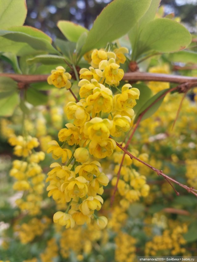 Краски лета — Туризм и путешествия: фотоотчеты из поездок