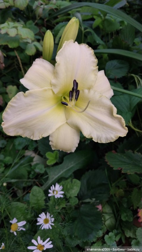 Краски лета — Туризм и путешествия: фотоотчеты из поездок (фото 2)