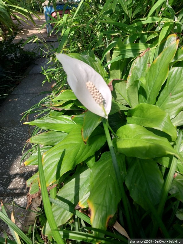 Краски лета — Туризм и путешествия: фотоотчеты из поездок