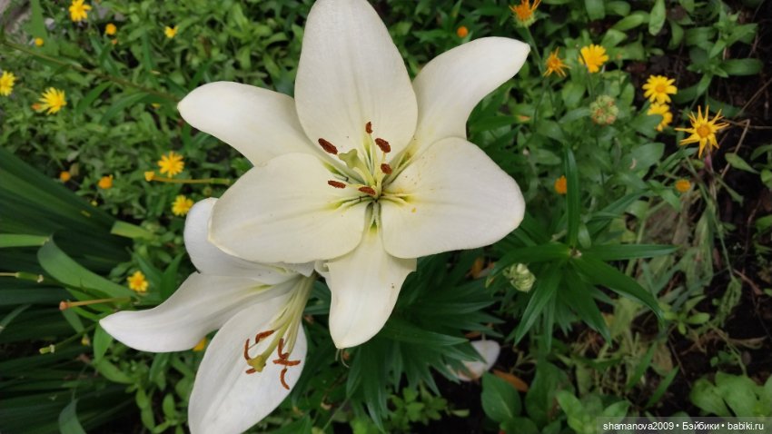 Краски лета — Туризм и путешествия: фотоотчеты из поездок