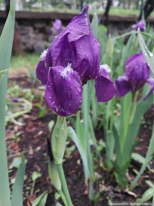 Краски лета — Туризм и путешествия: фотоотчеты из поездок