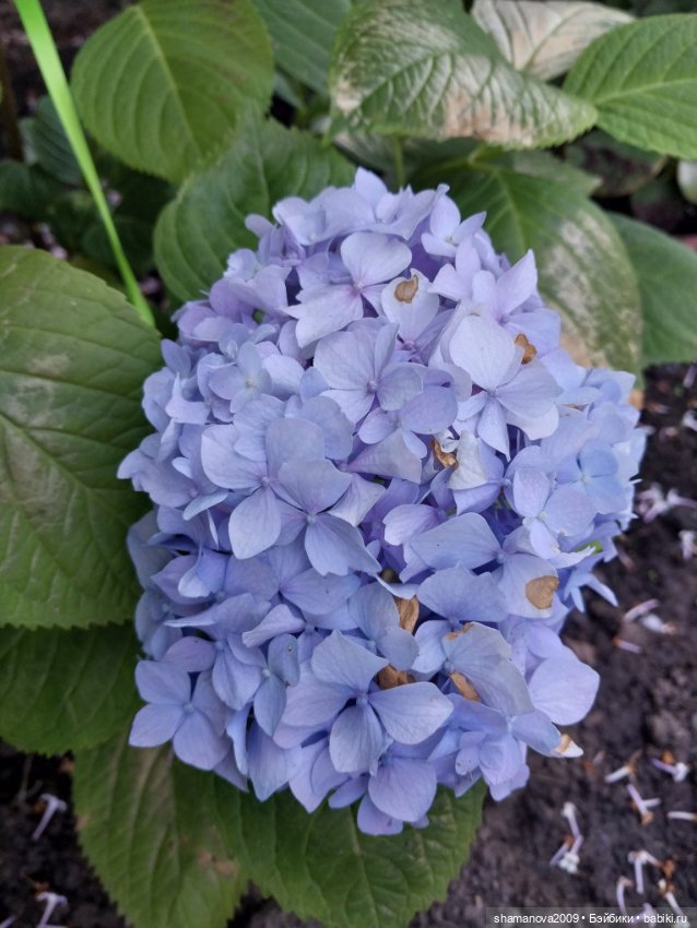 Краски лета — Туризм и путешествия: фотоотчеты из поездок