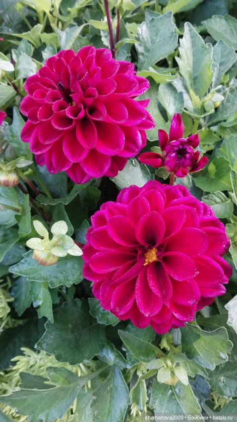 Краски лета — Туризм и путешествия: фотоотчеты из поездок