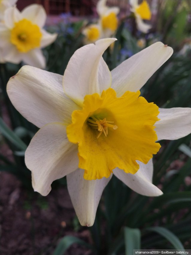 Краски лета — Туризм и путешествия: фотоотчеты из поездок