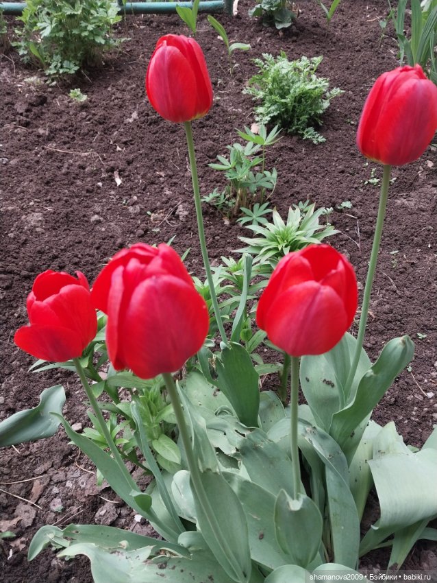 Краски лета — Туризм и путешествия: фотоотчеты из поездок