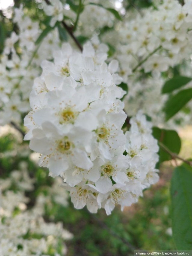 Краски лета — Туризм и путешествия: фотоотчеты из поездок