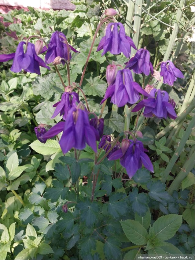 Краски лета — Туризм и путешествия: фотоотчеты из поездок