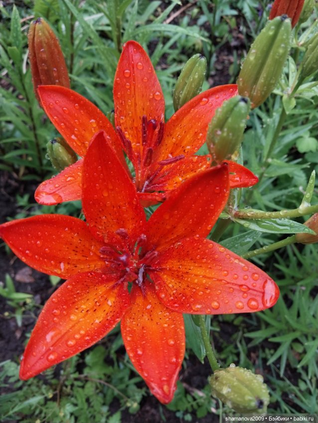 Краски лета — Туризм и путешествия: фотоотчеты из поездок