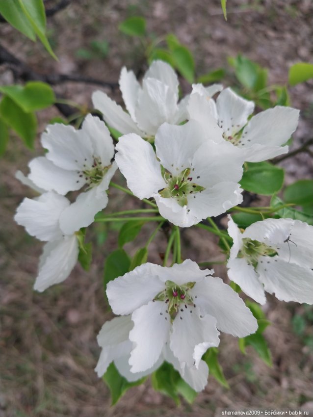 Краски лета — Туризм и путешествия: фотоотчеты из поездок