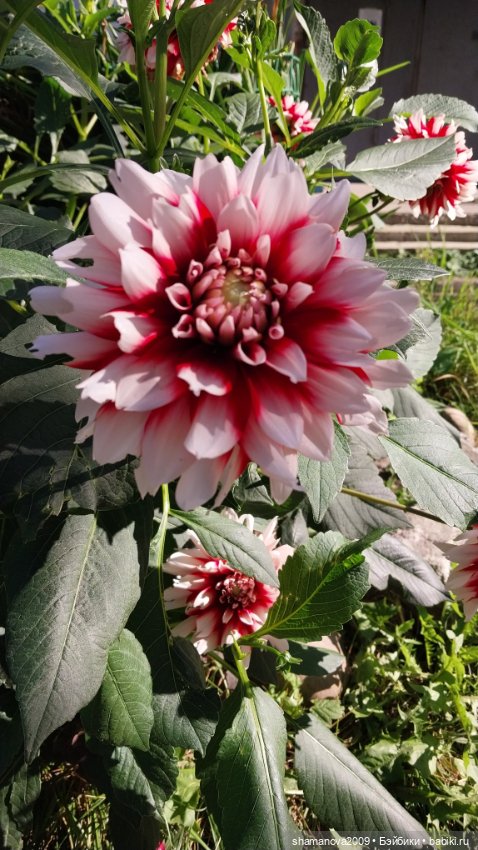 Краски лета — Туризм и путешествия: фотоотчеты из поездок