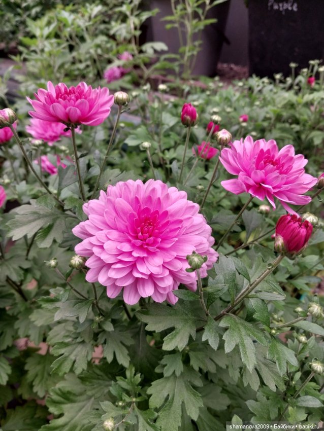 Краски лета — Туризм и путешествия: фотоотчеты из поездок