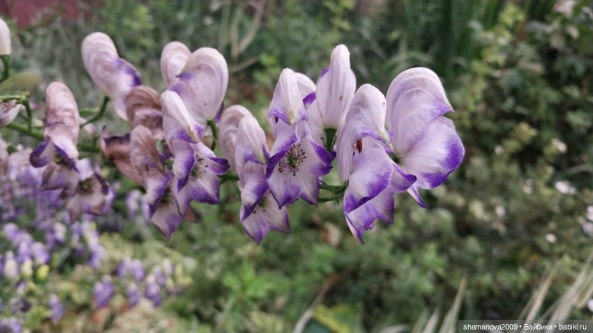 Краски лета — Туризм и путешествия: фотоотчеты из поездок