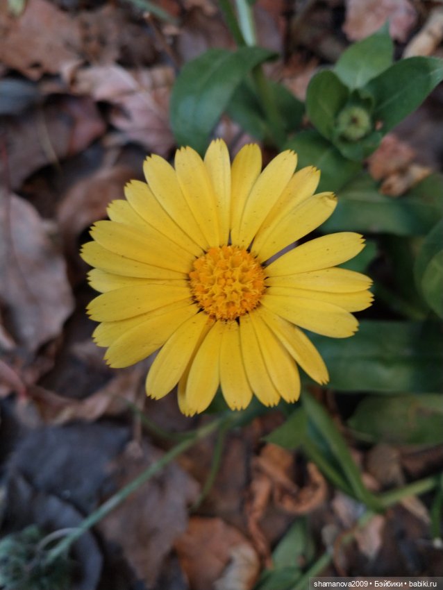 Краски лета — Туризм и путешествия: фотоотчеты из поездок