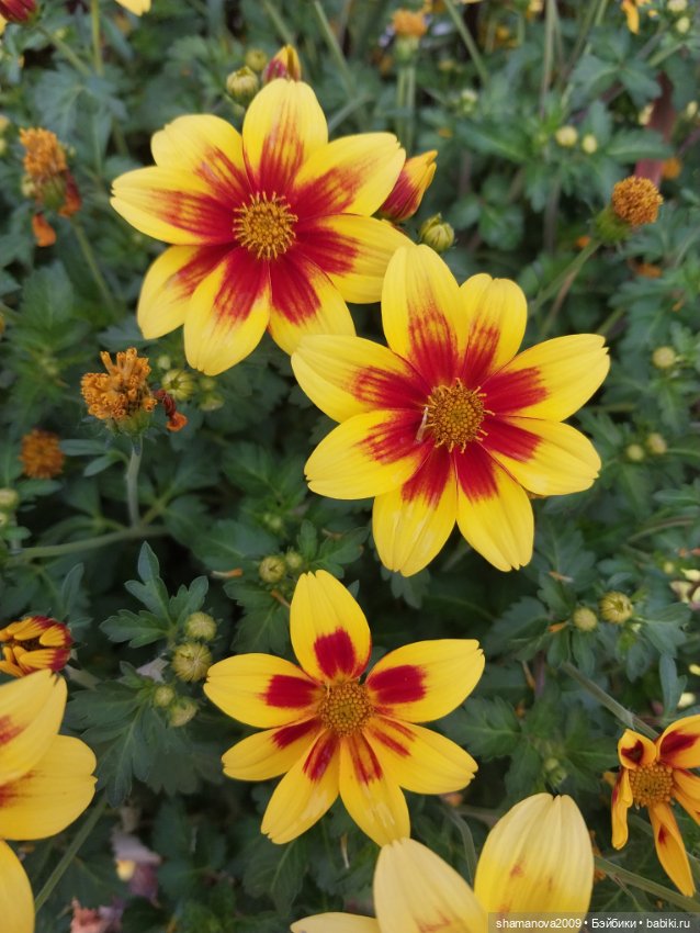 Краски лета — Туризм и путешествия: фотоотчеты из поездок