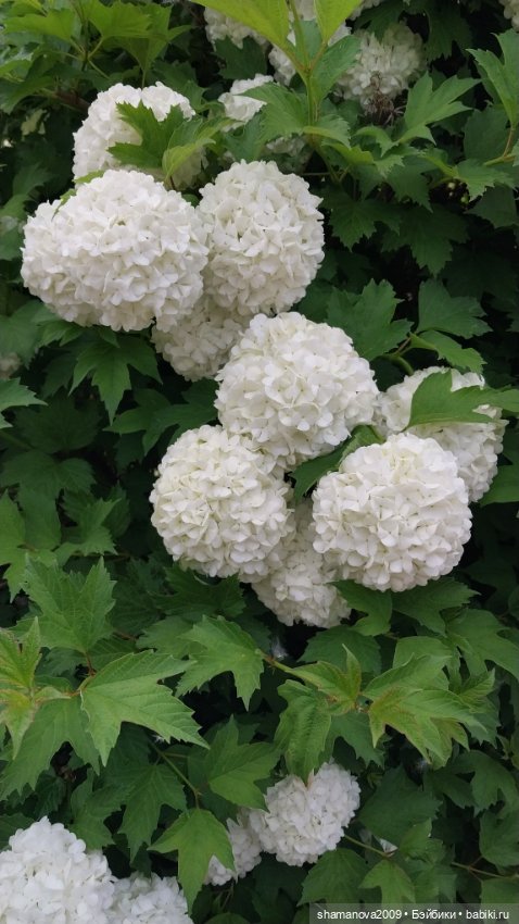 Краски лета — Туризм и путешествия: фотоотчеты из поездок (фото 9)