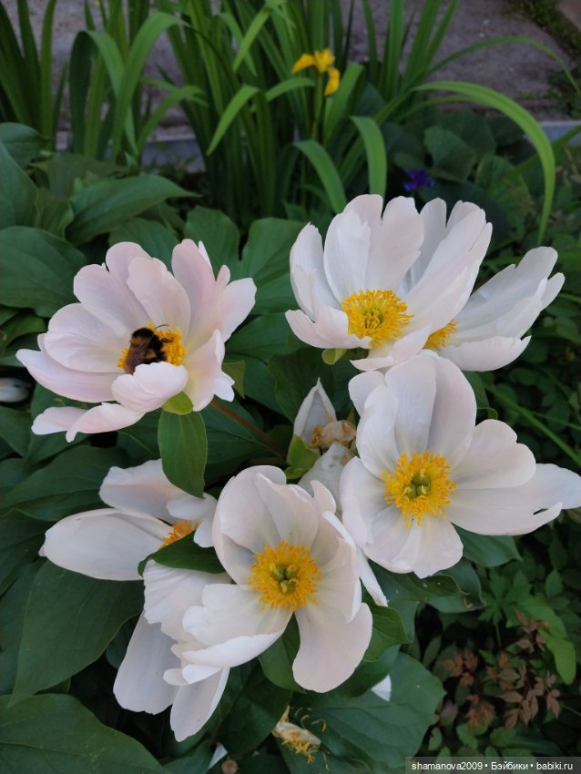 Краски лета — Туризм и путешествия: фотоотчеты из поездок