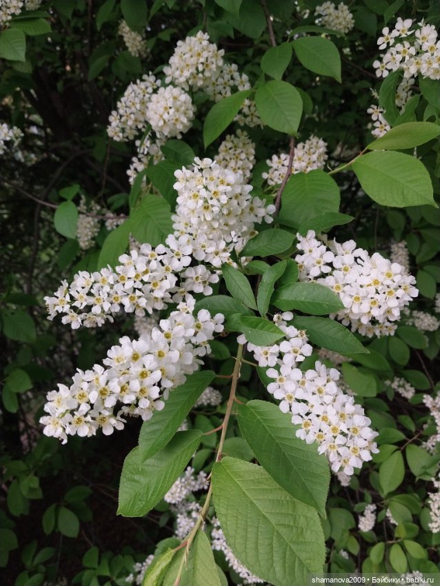 Краски лета — Туризм и путешествия: фотоотчеты из поездок