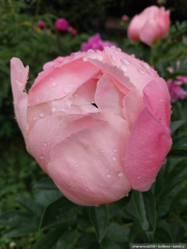 Краски лета — Туризм и путешествия: фотоотчеты из поездок