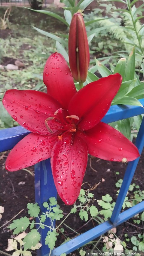 Краски лета — Туризм и путешествия: фотоотчеты из поездок