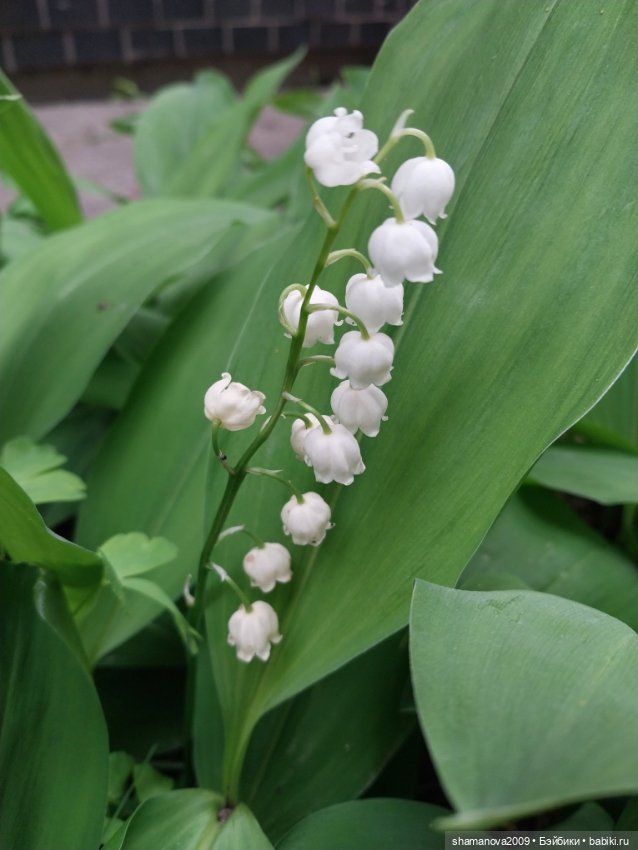 Краски лета — Туризм и путешествия: фотоотчеты из поездок