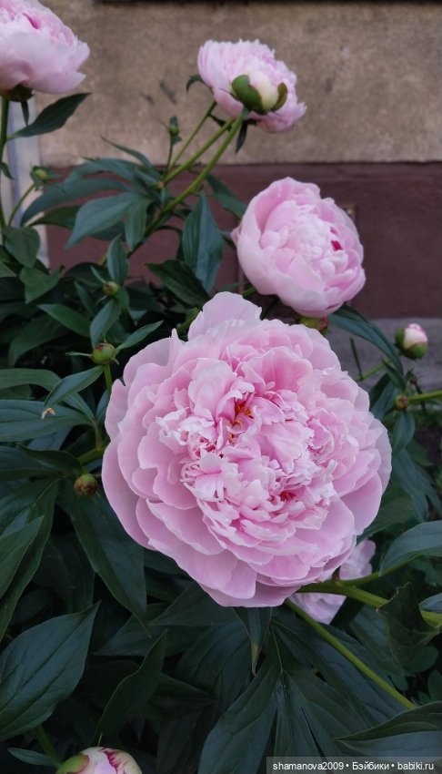 Краски лета — Туризм и путешествия: фотоотчеты из поездок (фото 7)