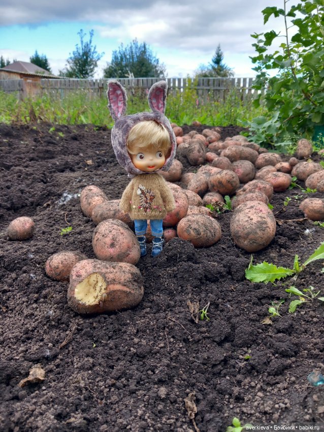 Леон огородник — Куклы Pututu (Путуту): дизайнерский винил (фото 8)
