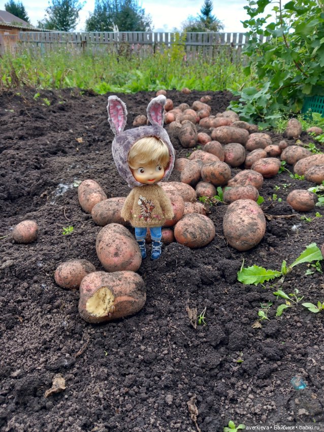 Леон огородник — Куклы Pututu (Путуту): дизайнерский винил (фото 7)