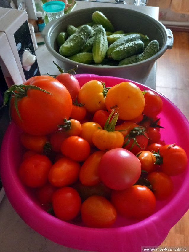 Леон огородник — Куклы Pututu (Путуту): дизайнерский винил