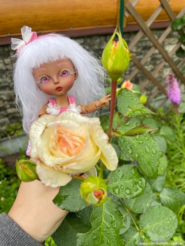 Лиза в обновленном образе) (фото 10)