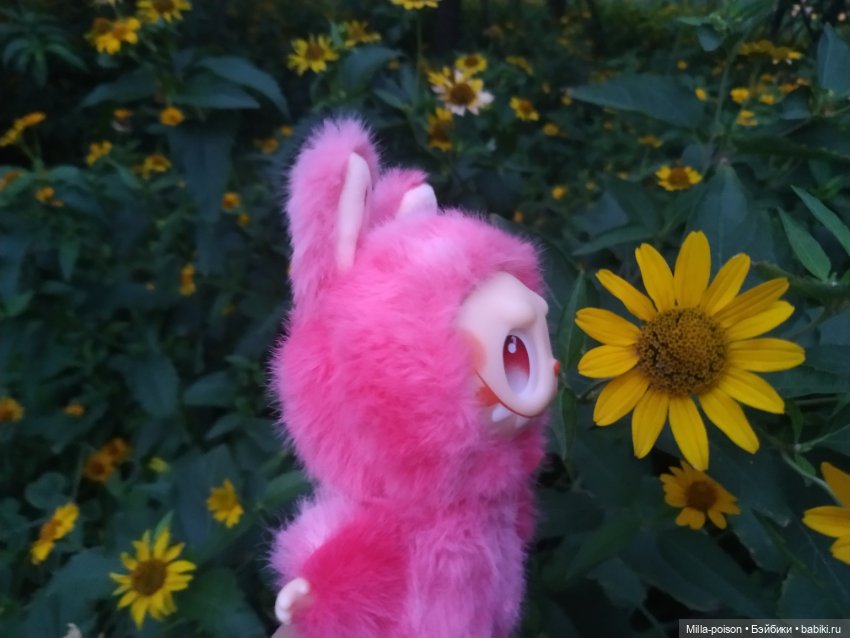 Игнатьевна — Игрушки Labubu (Лабубу) и The Monsters: Pop Mart (фото 7)