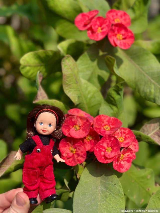 Немного о цвете — Коллекции игровых кукол (Playline): фото полок (фото 4)