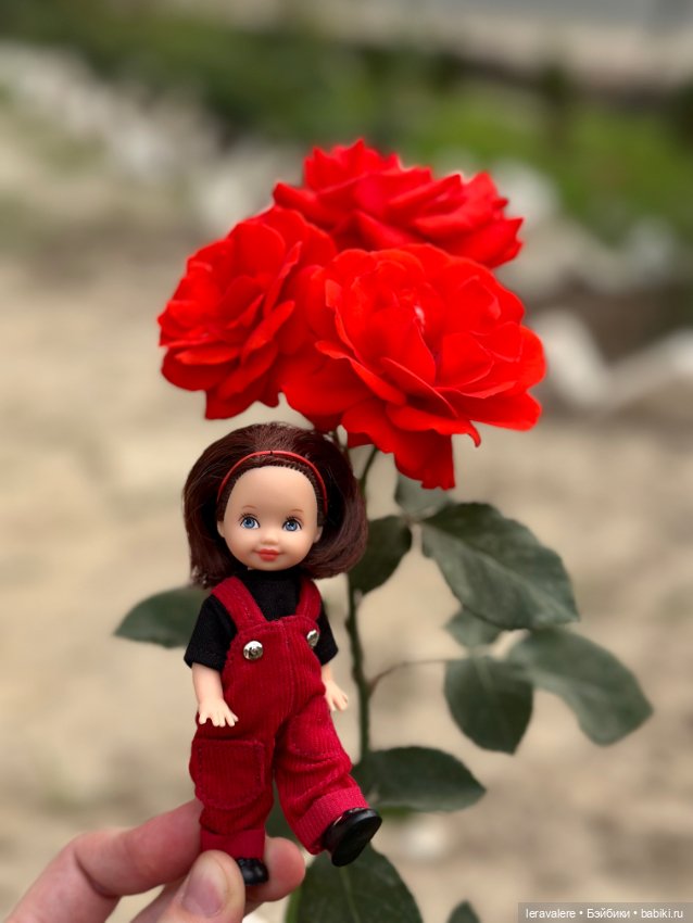 Немного о цвете — Коллекции игровых кукол (Playline): фото полок (фото 6)