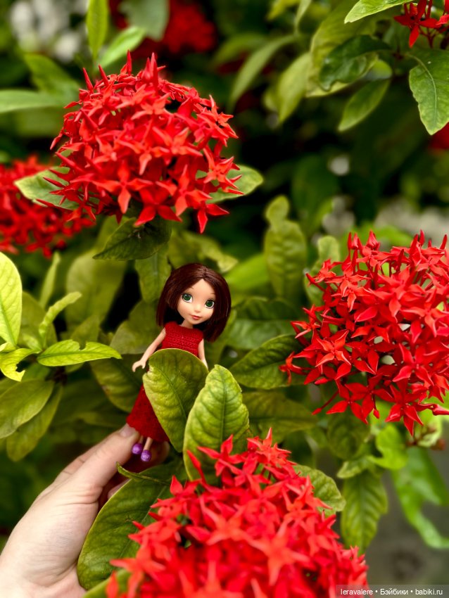 Немного о цвете — Коллекции игровых кукол (Playline): фото полок