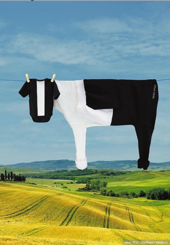 Просто белье на веревке — Интересное и необычное: фотоподборки (фото 4)