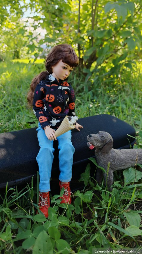 Девочка и её верный пёс — Разные куклы BJD (БЖД): редкие бренды (фото 8)