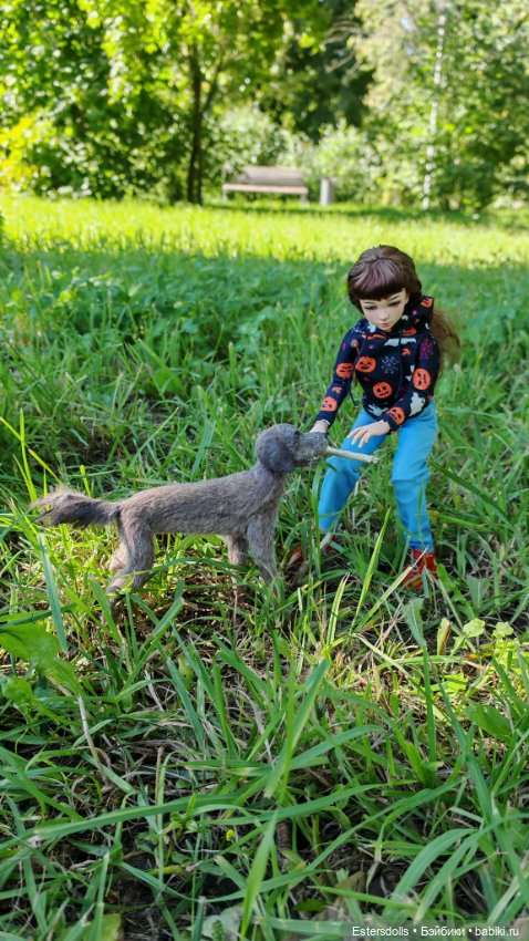 Девочка и её верный пёс — Разные куклы BJD (БЖД): редкие бренды (фото 2)