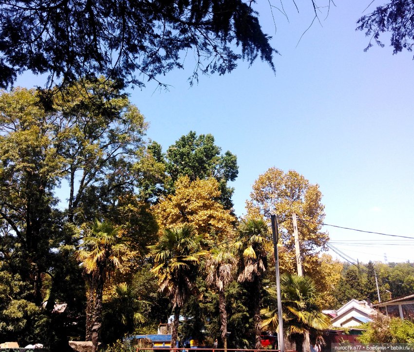 Про Нафочку. Успеть до осени (фото 10)