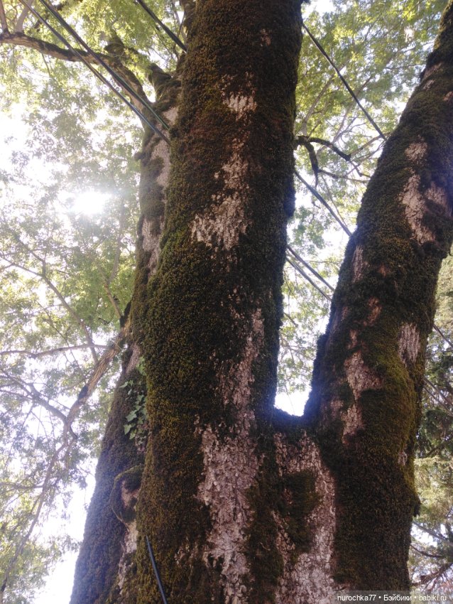 Про Нафочку. Успеть до осени (фото 7)