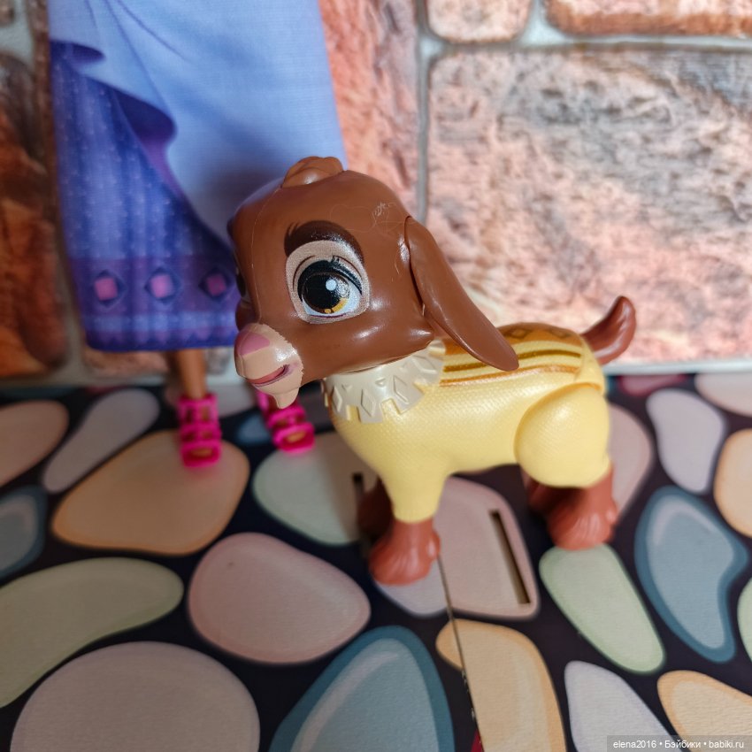 Альбус и Аша мои новые жители (фото 5)