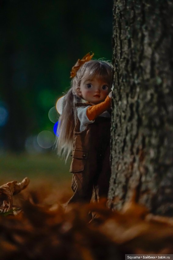 Уж небо осенью дышало — Коллекции шарнирных (фото 6)