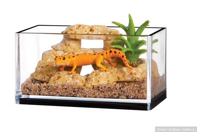 MGA Make it mini Animals — Интересное обо всем: поздравления (фото 8)