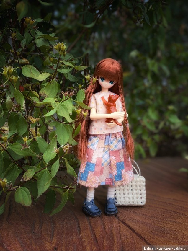 Куклы Azone (Азон) и тела Pure Neemo: фото