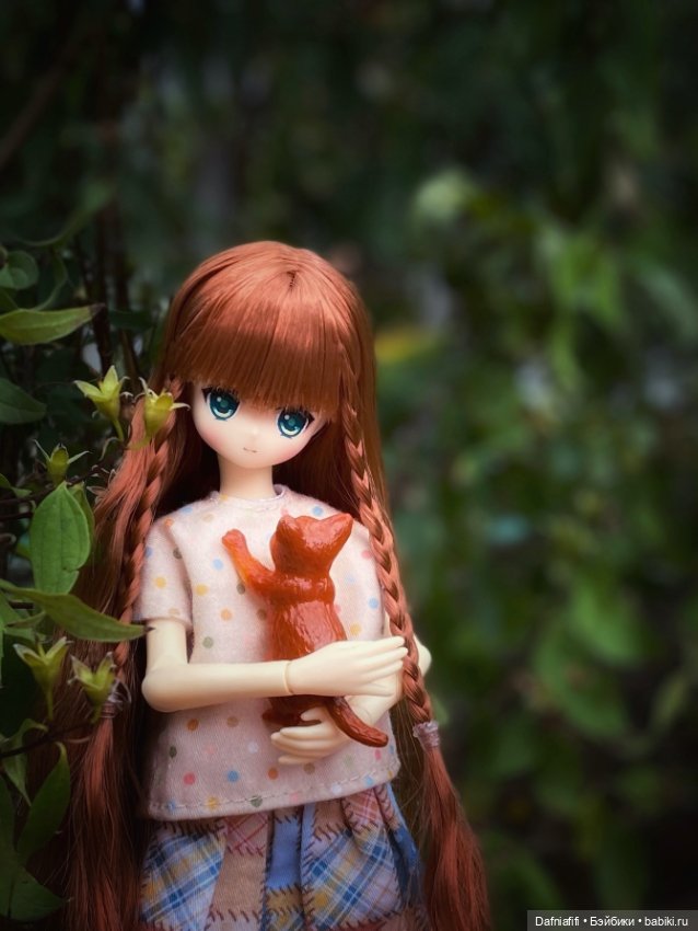 Куклы Azone (Азон) и тела Pure Neemo: фото