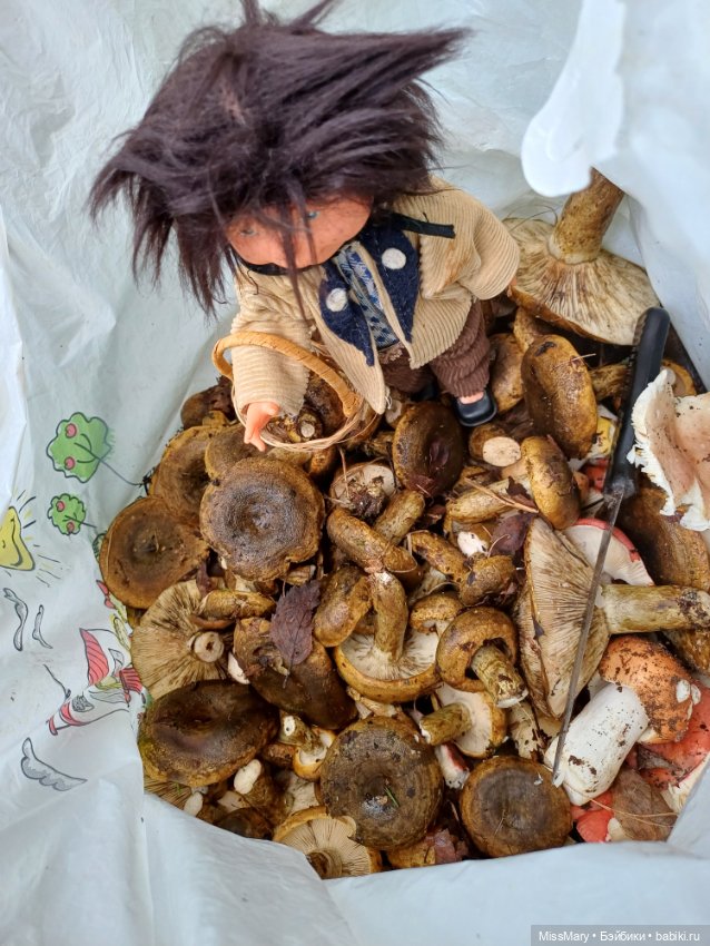 Как Сеня с Мишей в лес ходили