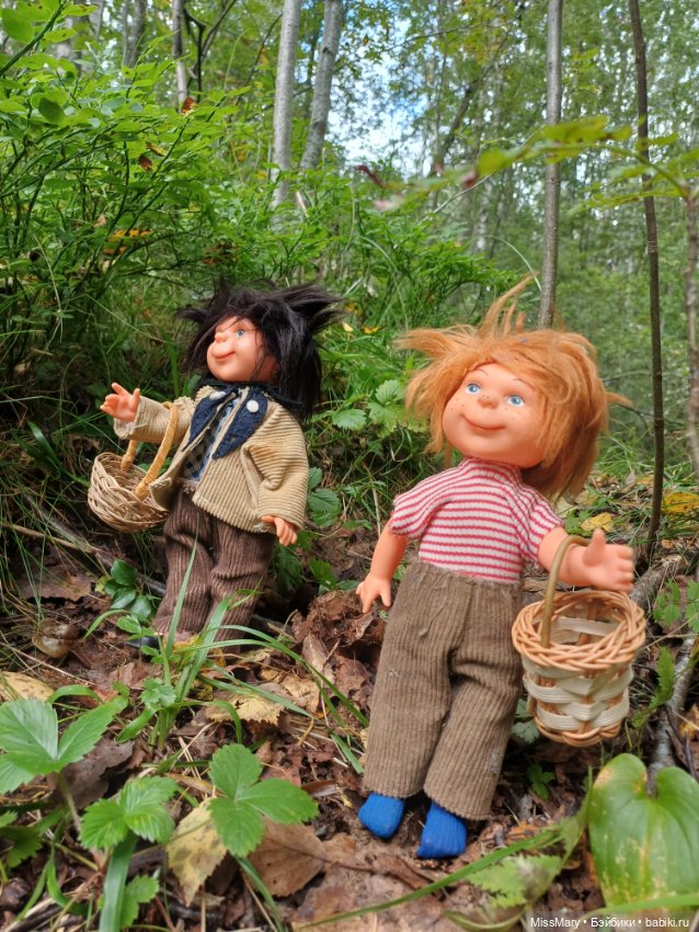 Как Сеня с Мишей в лес ходили