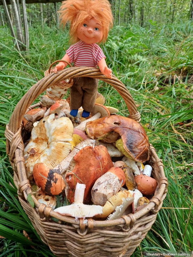 Как Сеня с Мишей в лес ходили