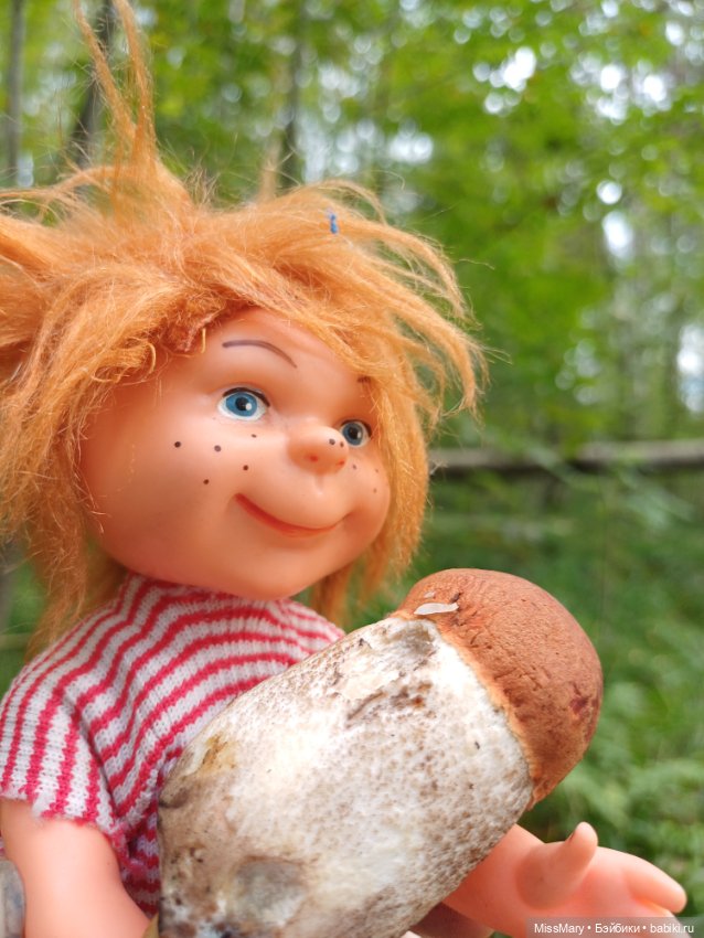 Как Сеня с Мишей в лес ходили