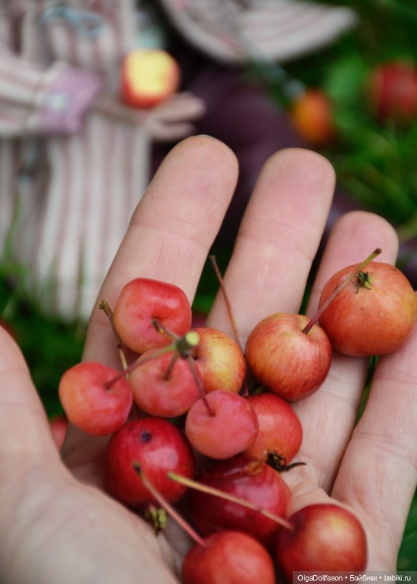 Девушка с яблоками — Домашние фото авторских кукол: личные коллекции (фото 4)